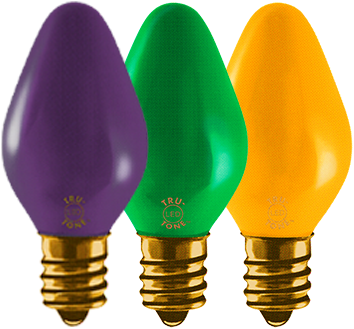 Mardi Gras Bundle
