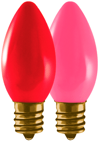 Valentine's Day Bundle