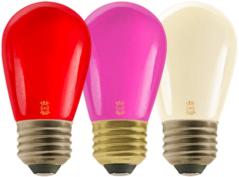 Valentine's Day Bundle