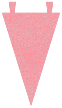 Varsity Pennant