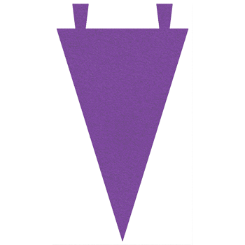 Varsity Pennant
