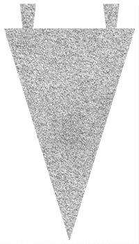 Varsity Pennant