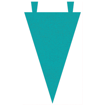 Varsity Pennant