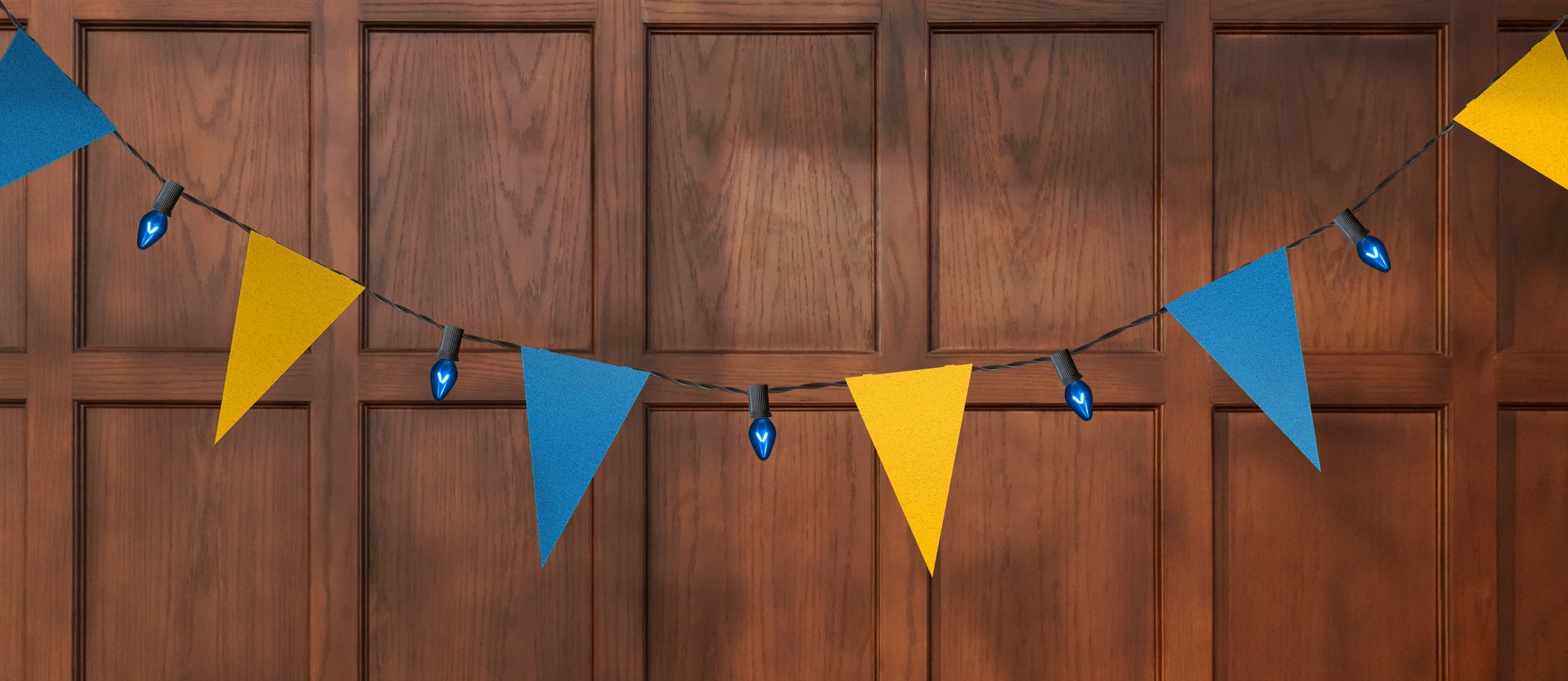 Varsity Lights: Florida International University