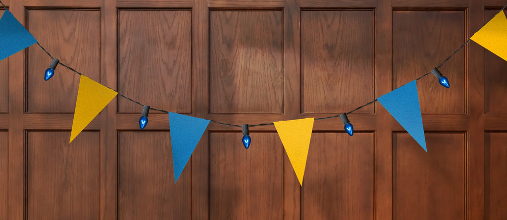 Varsity Lights: Florida International University