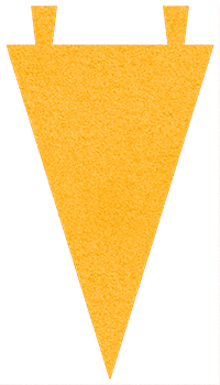 Varsity Pennant